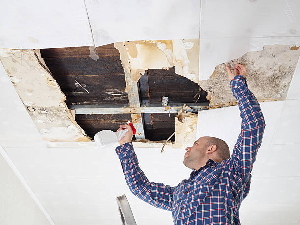 Best Industrial Mold Remediation  in Villas, NJ